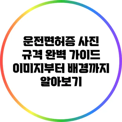 운전면허증 사진 규격 완벽 가이드: 이미지부터 배경까지 알아보기