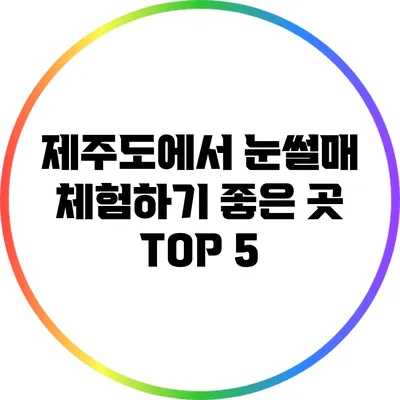 제주도에서 눈썰매 체험하기 좋은 곳 TOP 5