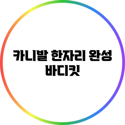 카니발 한자리 완성: 바디킷