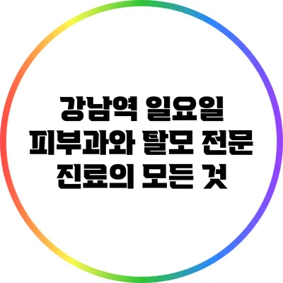 강남역 일요일 피부과와 탈모 전문 진료의 모든 것