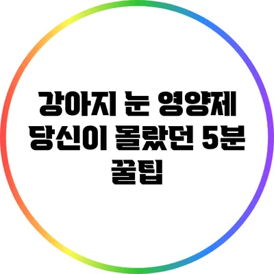 강아지 눈 영양제: 당신이 몰랐던 5분 꿀팁