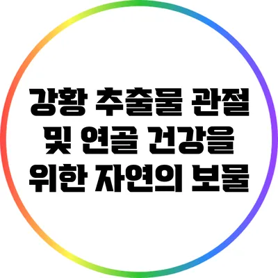 강황 추출물: 관절 및 연골 건강을 위한 자연의 보물