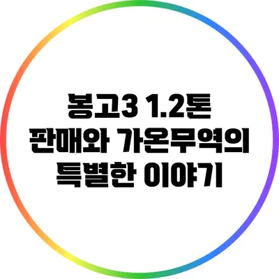봉고3 1.2톤 판매와 가온무역의 특별한 이야기