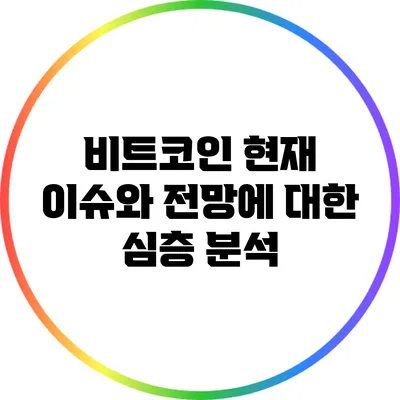 비트코인: 현재 이슈와 전망에 대한 심층 분석