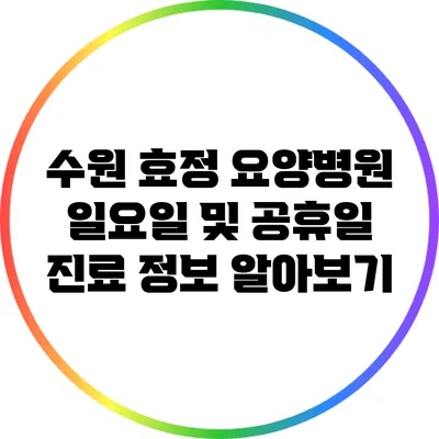 수원 효정 요양병원 일요일 및 공휴일 진료 정보 알아보기
