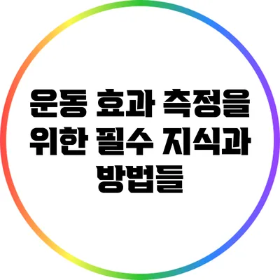 운동 효과 측정을 위한 필수 지식과 방법들
