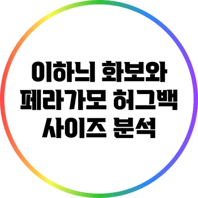 이하늬 화보와 페라가모 허그백 사이즈 분석
