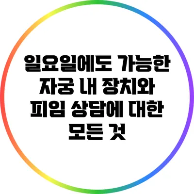 일요일에도 가능한 자궁 내 장치와 피임 상담에 대한 모든 것