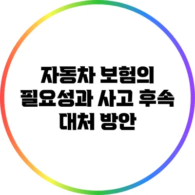 자동차 보험의 필요성과 사고 후속 대처 방안