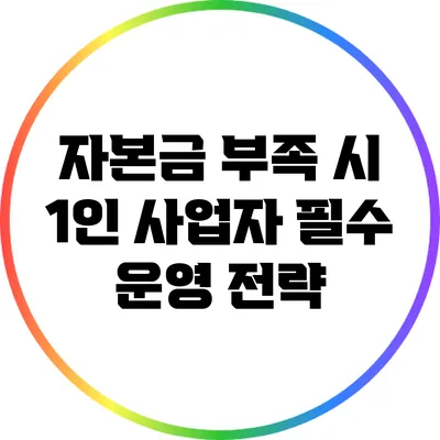 자본금 부족 시 1인 사업자 필수 운영 전략