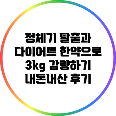 정체기 탈출과 다이어트 한약으로 3kg 감량하기: 내돈내산 후기