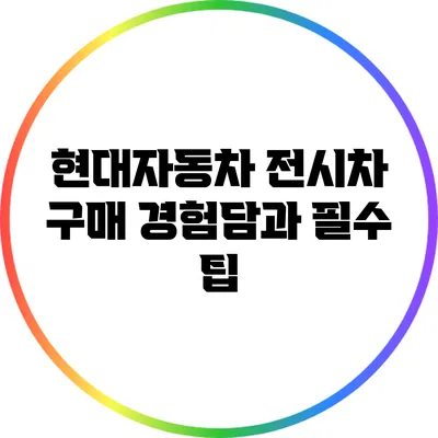 현대자동차 전시차 구매 경험담과 필수 팁