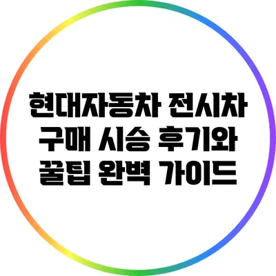 현대자동차 전시차 구매 시승 후기와 꿀팁 완벽 가이드