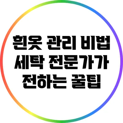 흰옷 관리 비법: 세탁 전문가가 전하는 꿀팁