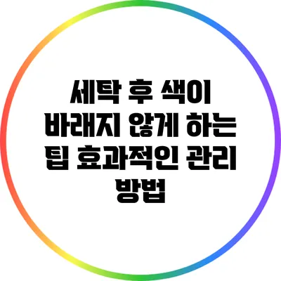 세탁 후 색이 바래지 않게 하는 팁: 효과적인 관리 방법