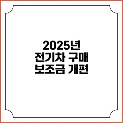 2025년 전기차 구매 보조금 개편