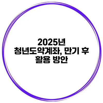 2025년 청년도약계좌, 만기 후 활용 방안