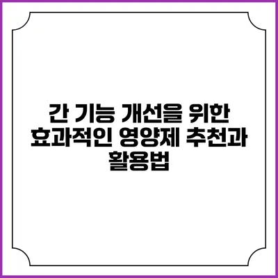 간 기능 개선을 위한 효과적인 영양제 추천과 활용법