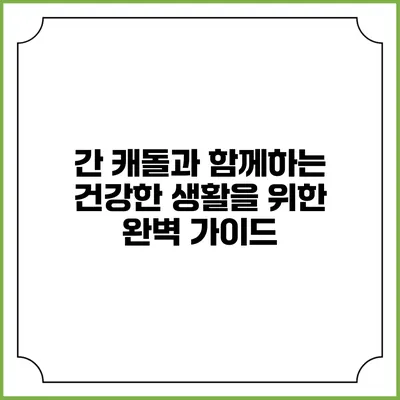 간 캐돌과 함께하는 건강한 생활을 위한 완벽 가이드