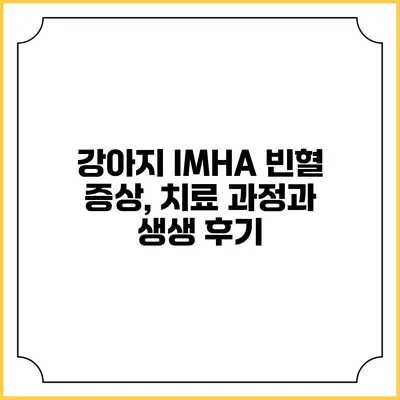 강아지 IMHA 빈혈: 증상, 치료 과정과 생생 후기