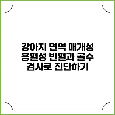 강아지 면역 매개성 용혈성 빈혈과 골수 검사로 진단하기