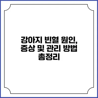 강아지 빈혈: 원인, 증상 및 관리 방법 총정리