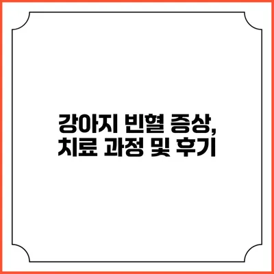 강아지 빈혈: 증상, 치료 과정 및 후기