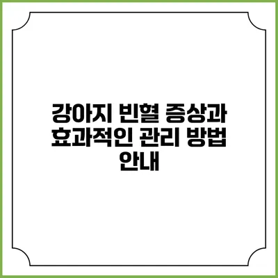 강아지 빈혈 증상과 효과적인 관리 방법 안내