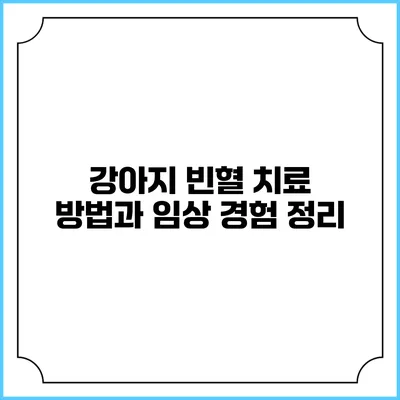 강아지 빈혈 치료 방법과 임상 경험 정리