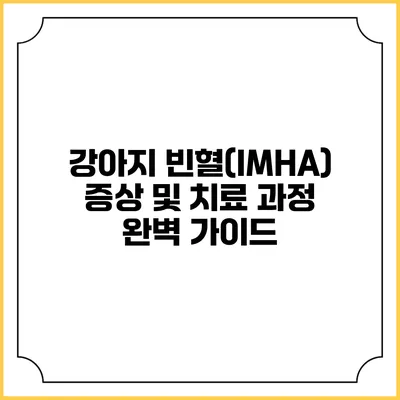 강아지 빈혈(IMHA) 증상 및 치료 과정 완벽 가이드