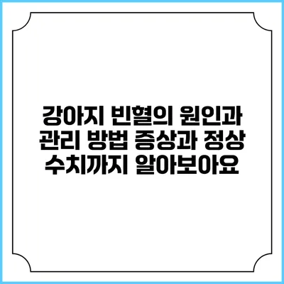 강아지 빈혈의 원인과 관리 방법: 증상과 정상 수치까지 알아보아요