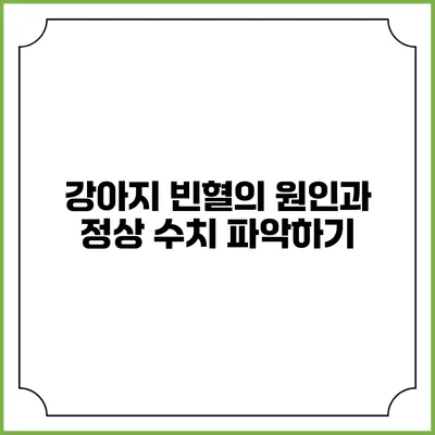 강아지 빈혈의 원인과 정상 수치 파악하기