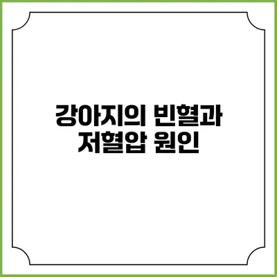 강아지의 빈혈과 저혈압: 원인