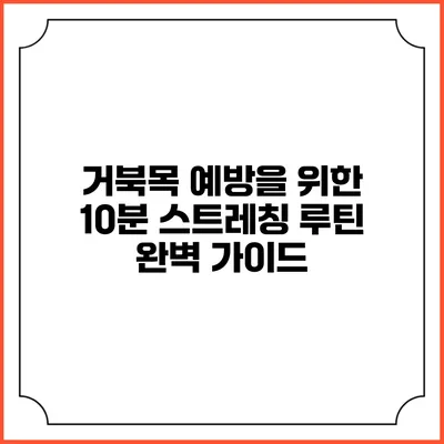거북목 예방을 위한 10분 스트레칭 루틴 완벽 가이드