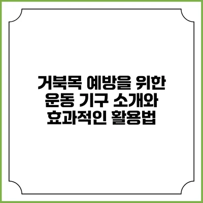 거북목 예방을 위한 운동 기구 소개와 효과적인 활용법