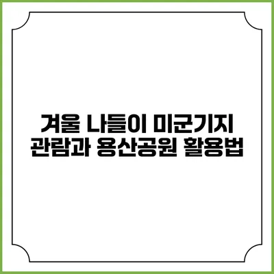 겨울 나들이: 미군기지 관람과 용산공원 활용법