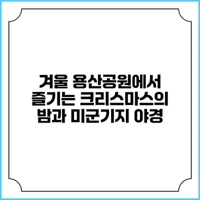 겨울 용산공원에서 즐기는 크리스마스의 밤과 미군기지 야경