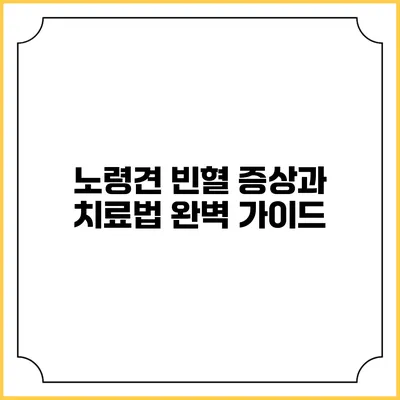 노령견 빈혈: 증상과 치료법 완벽 가이드