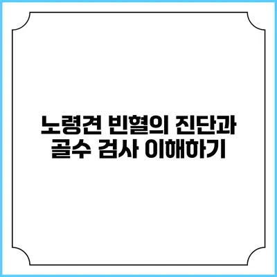 노령견 빈혈의 진단과 골수 검사 이해하기