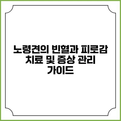 노령견의 빈혈과 피로감: 치료 및 증상 관리 가이드