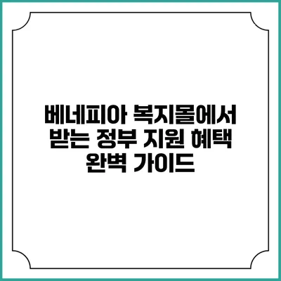 베네피아 복지몰에서 받는 정부 지원 혜택 완벽 가이드