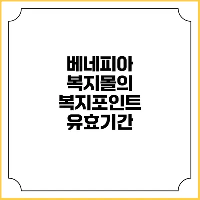 베네피아 복지몰의 복지포인트 유효기간