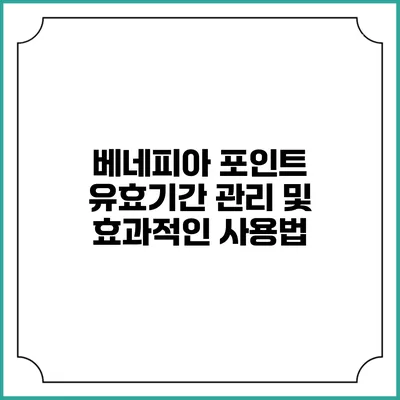 베네피아 포인트 유효기간 관리 및 효과적인 사용법