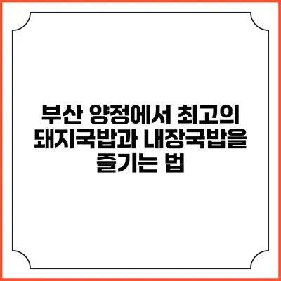 부산 양정에서 최고의 돼지국밥과 내장국밥을 즐기는 법
