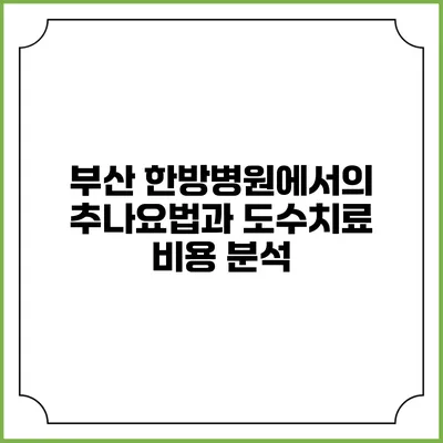 부산 한방병원에서의 추나요법과 도수치료 비용 분석