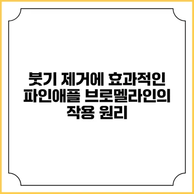 붓기 제거에 효과적인 파인애플 브로멜라인의 작용 원리