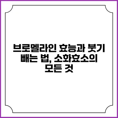 브로멜라인 효능과 붓기 빼는 법, 소화효소의 모든 것
