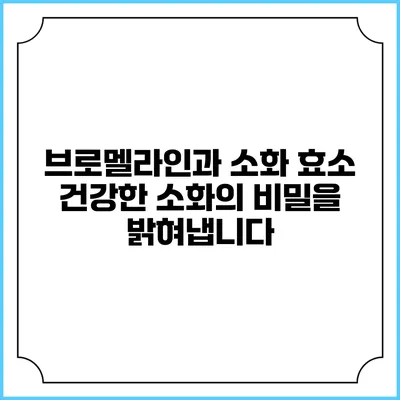 브로멜라인과 소화 효소: 건강한 소화의 비밀을 밝혀냅니다