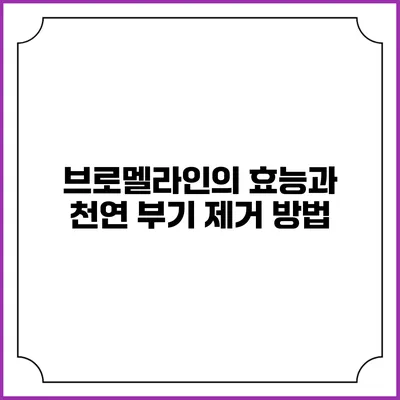 브로멜라인의 효능과 천연 부기 제거 방법