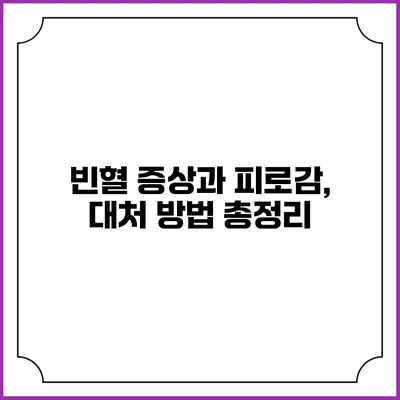 빈혈 증상과 피로감, 대처 방법 총정리